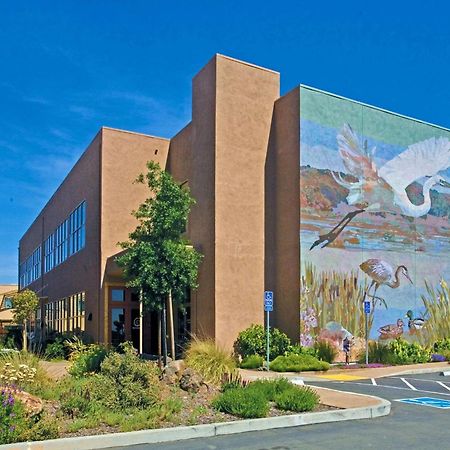 Doubletree By Hilton Napa Valley - American Canyon Dış mekan fotoğraf