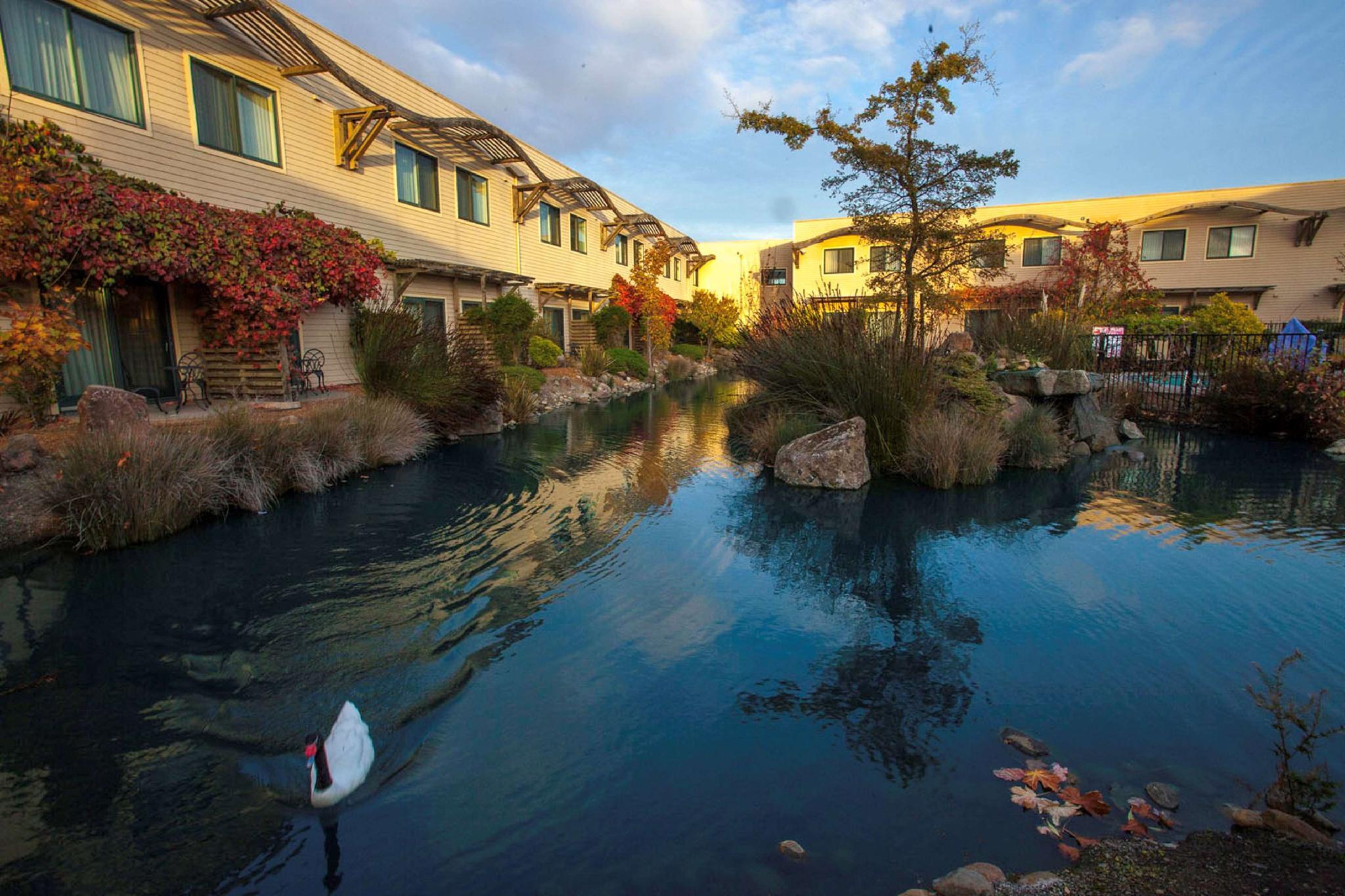 Doubletree By Hilton Napa Valley - American Canyon Dış mekan fotoğraf